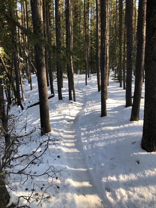 Merlin Loop Trail