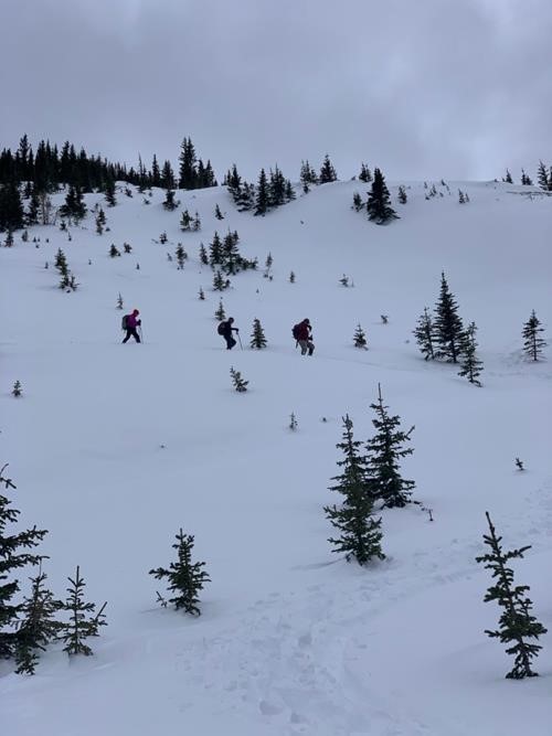 On the way down.