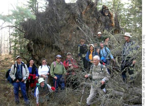 ...but what mighty force did it?