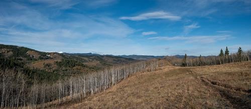 Ridge Trail