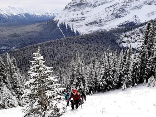 Trekking in the knee deep powder.