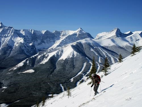 Chip heading back down to treeline
