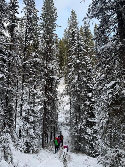 Making our way up Twin Lakes Trail