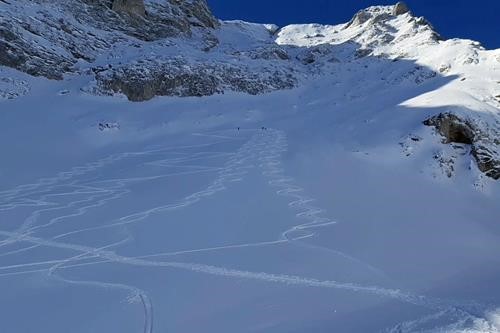 Turns on the east slope of Pocaterra Mtn 