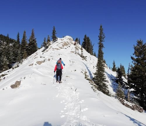 We avoided this on the way down.