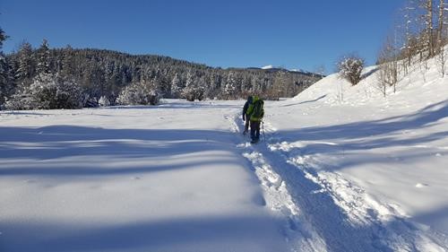 Sunny Trail