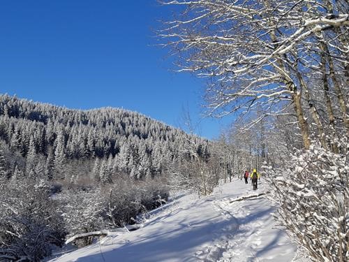 Winter Wonderland 1