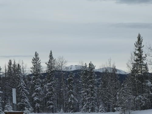 Moose Mt.