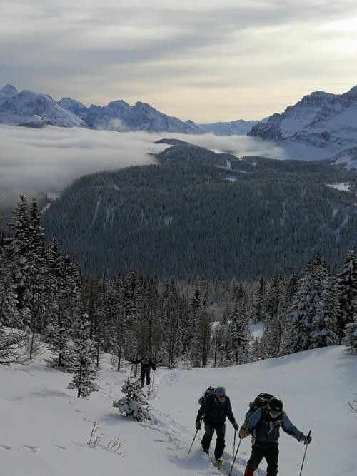 {1993 Iva Dix}, {1649 Ed roe} and {1456 Cli Pot} ascending the glade we skied down.