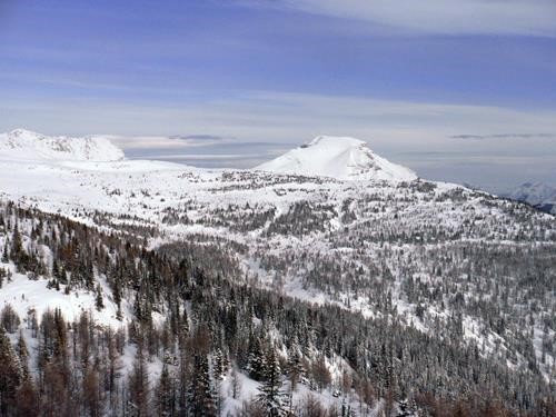 Mount Bourgeau and Bourgeau meadows - from our high point.
