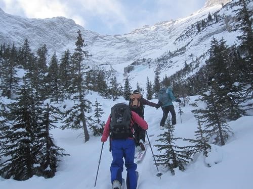 Ramblers bushwacking frozen waterfall second objective