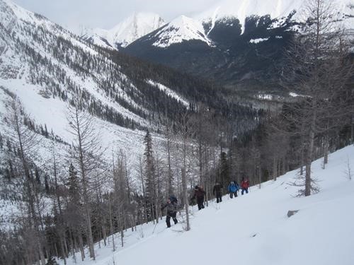 Ramblers uptrack in the larches