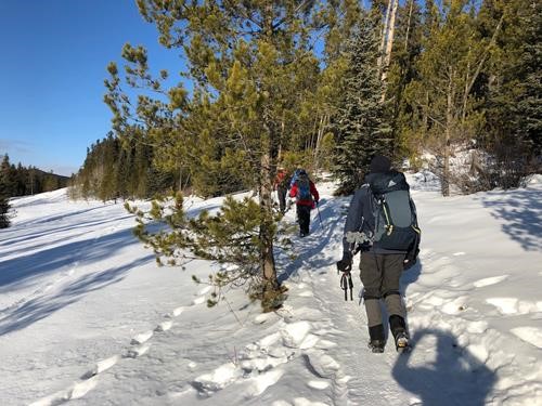 On the trail