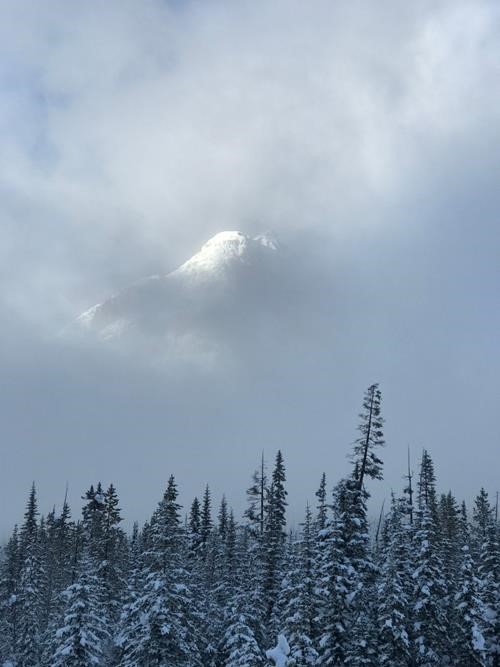 Mountain Photo - 1st Prize - sub peak of Whymper