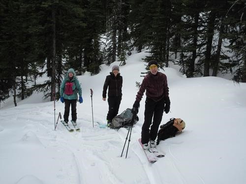 {172 ch g}, {944 s se} and {1063 in s} on Fisera Ridge trail