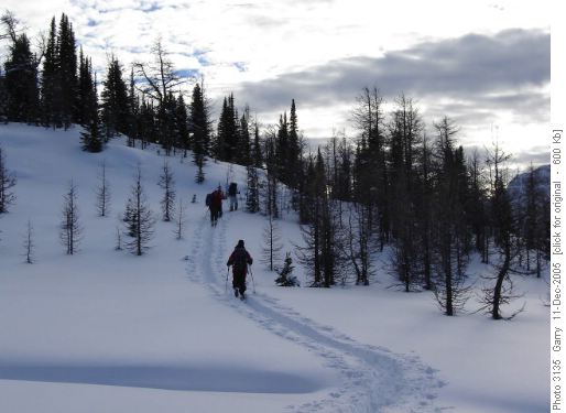 Simpson Pass to Sunshine
