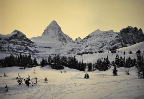 Mt. Assiniboine from Jones Bench