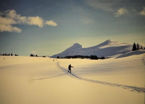 Rambler returns from Sunshine Meadows, Quartz Ridge behind skier. 