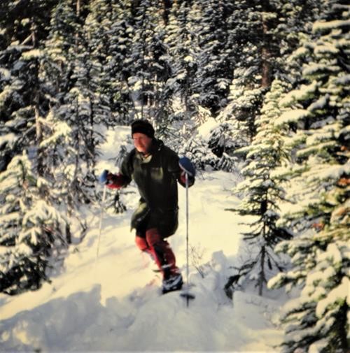 {265 alistair desmoulins} skiing near Nigel Pass