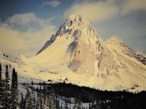 Mt. Birdwood from the Burstall Pass Trail