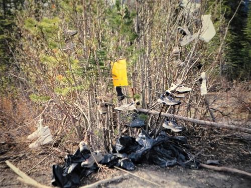 Discarded water shoes by the Chabe River