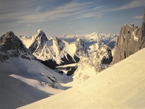 View down the Robertson Glacier