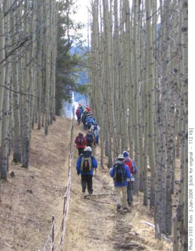 Down to the Sheep along the fenceline