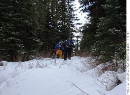 The Gypsum Mines route ascends through moderate forest and excellent early season snow.