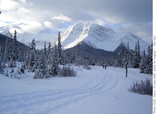 Mt. Shark Cross Country Ski Trails