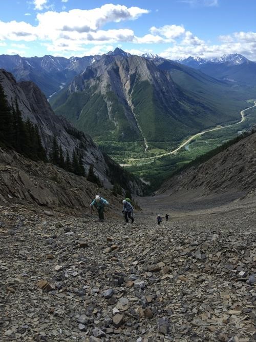 Good trail in gully