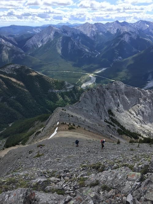 Looking back at col