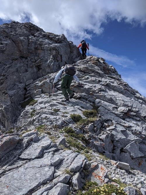 Fun scrambling section (photo {1701 u m})