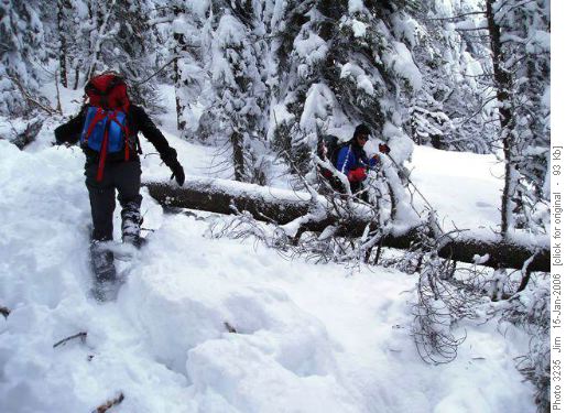 Mike and Jerome snowshoe around a recently downed tree on the Sherbrooke Lake Trail.