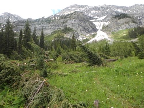 Avalanche damage
