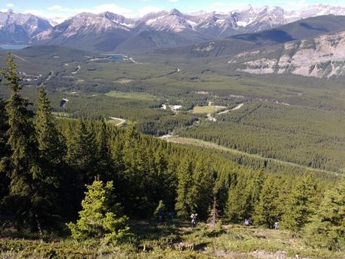 An open area on the steep ascent of King Creek Ridge
