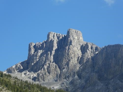 Little Elbow River View
