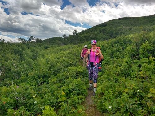 Bushwhacking section on the way down.
