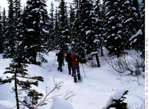 Breaking trail on the way to Twin Lakes.