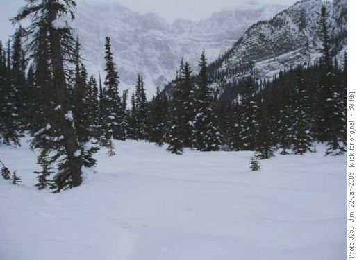 The end of the trail in the meadows leading to Twin Lakes.