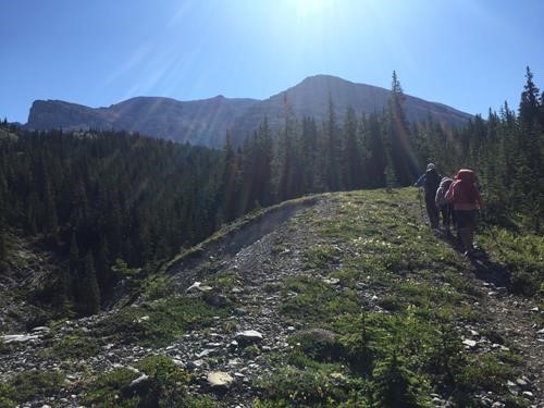 Good trail below Junction Mountain