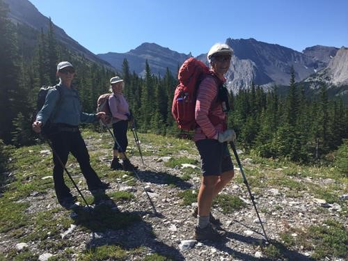View south to Dogtooth Mountain