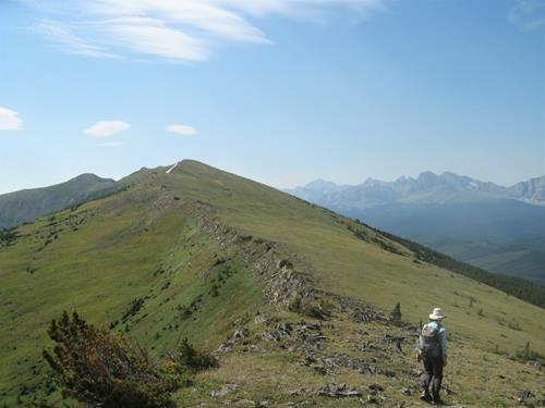 A long ridge ahead of us