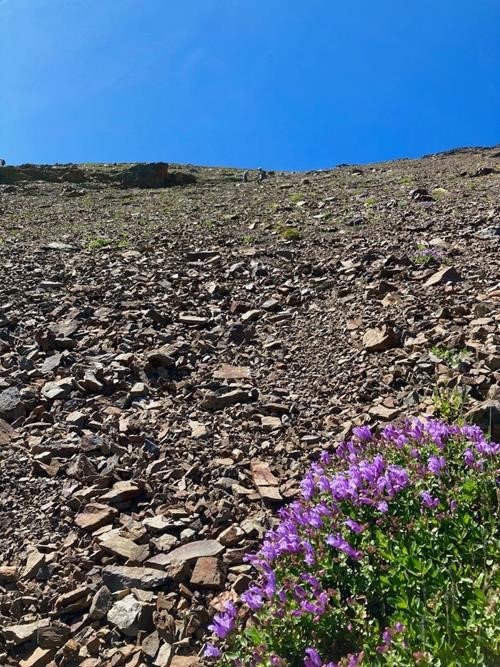 Two of our group finding the best path descending the scree on the east slope of Grizzly Ridge