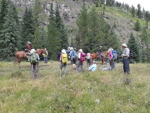 horse group - no hitchhiking up the last hill
