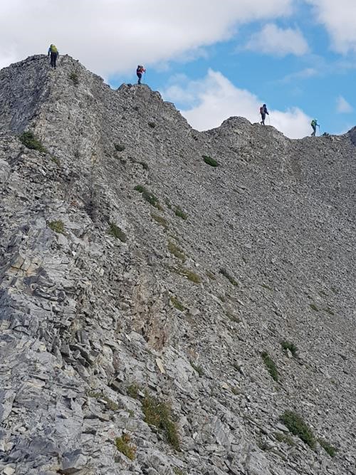 The long ridge walk