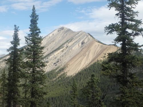 View of Nihahi ridge