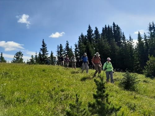 Passing the second meadow.