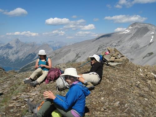 Ladies on the summit C/W pink register.