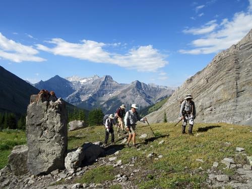 Traversing the plateau meadows