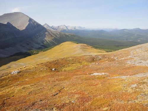 View near Windy Pass in the Beehive Mountain Natural Area